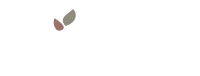 Attuned Psychotherapy Collective